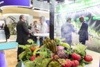 Brazil Faces a Major Opportunity at Fruit Attraction 2025, Which Reinforces its Global Reach with a 5% growth