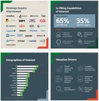 Data & AI, and Business Intelligence & Analytics are the most in demand areas for M&A according to buyers