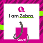 Q'Apel Medical Announces U.S. FDA Clearance for the Zebra Neurovascular Access System and Prepares for Full U.S. Launch