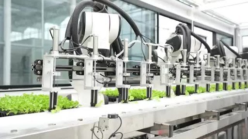 CCTV+: High-tech farm automates vegetable planting, harvest in China's Zhejiang