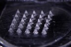 Daewoong Therapeutics Microneedle Patch Achieves Best-in-Class Bioavailability, Proving the Strength of Its Drug-Delivery Platform
