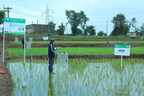 The Good Rice Alliance Awarded 'Ae', a top quartile ex ante rating, by BeZero Carbon