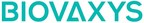 BIOVAXYS ANNOUNCES CONVERSION OF DEBENTURES AND GRANT OF STOCK OPTIONS